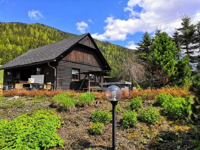 Gasthof Draxlerhaus Хоэнтауэрн Экстерьер фото